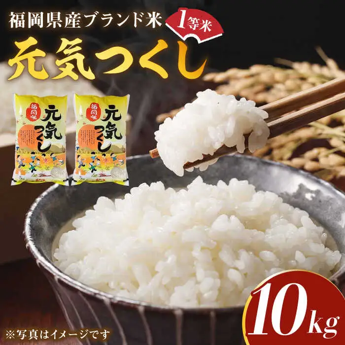 【先行予約】【令和7年産】福岡県産ブランド米「元気つくし」白米 10kg (5kg×2袋)【2025年11月以降順次発送】 [ABDD003]