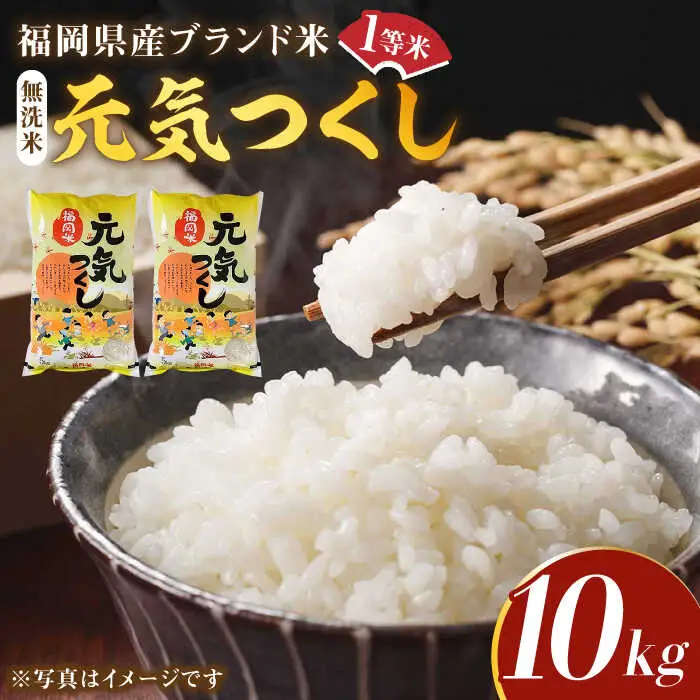 【令和7年産】福岡県産ブランド米「元気つくし」無洗米 10kg (5kg×2袋)【2025年11月以降順次発送】 [ABDD004]
