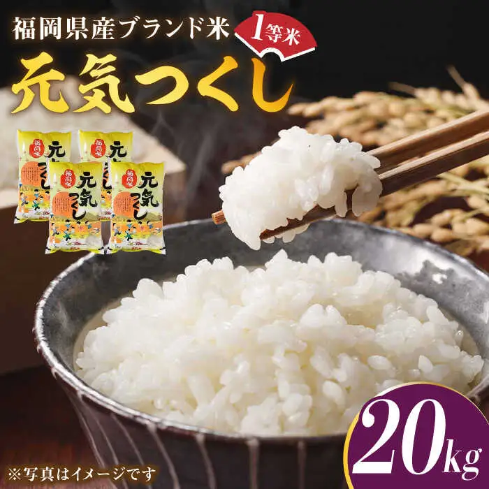 【令和7年産】福岡県産ブランド米「元気つくし」白米 20kg (5kg×4袋)【2025年11月以降順次発送】 [ABDD005]