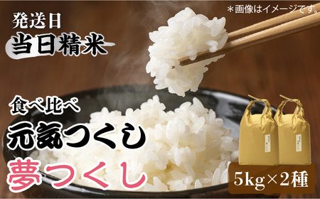 福岡県産【特A米】元気つくし 【A米】夢つくしの食べ比べ 各5kg×2袋 [10kg] [白米] [ABDF033]