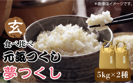 福岡県産【特A米】元気つくし【A米】 夢つくしの食べ比べ 各5kg×2袋 [10kg] [玄米] [ABDF035]