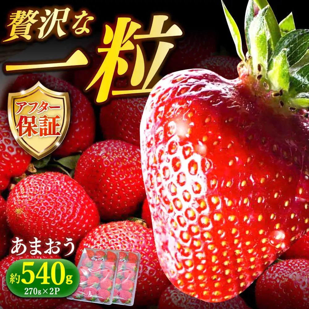 【先行予約】いちご 朝採り あまおう 約270g×2[ABDG003] いちご 果物