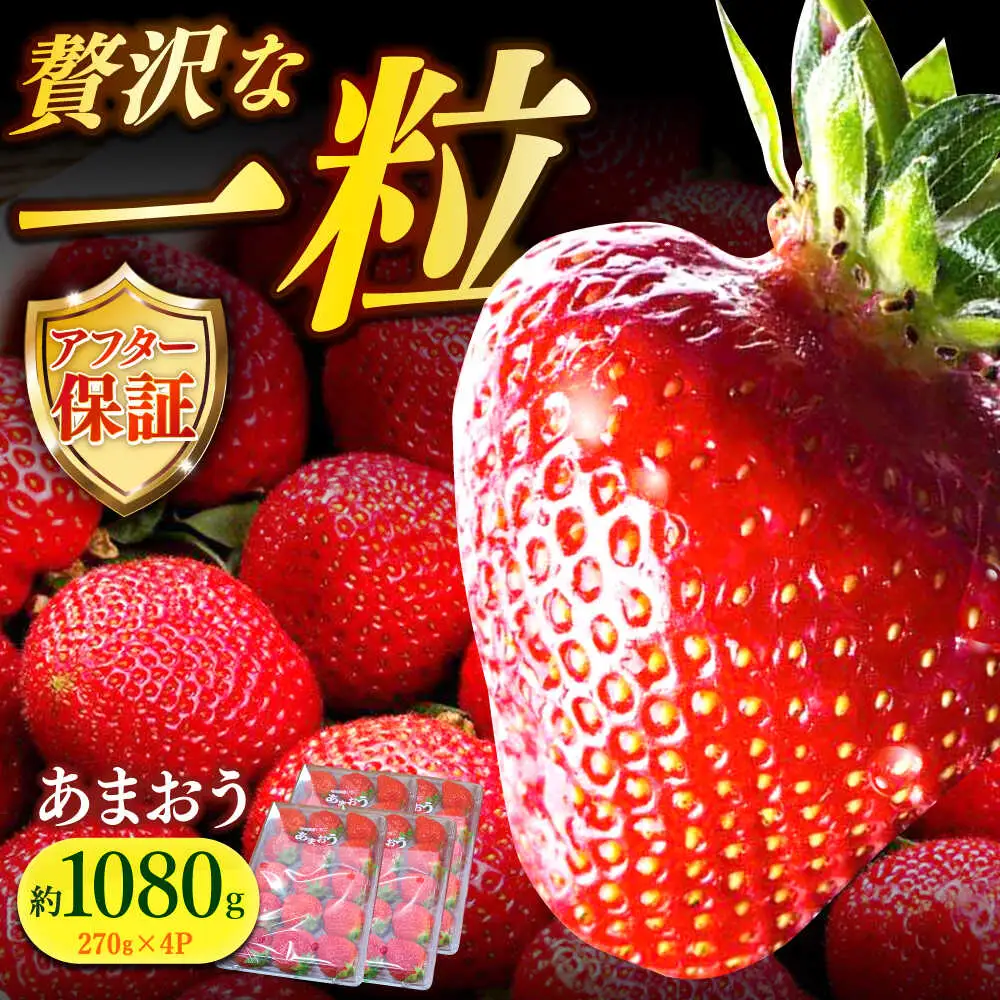 【先行予約】いちご 朝採り あまおう 約270g×4 [ABDG004] 果物 あまおう