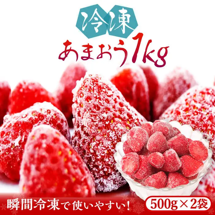 いちご 福岡県産 約500g×2袋 合計約1kg [ABDG005] 果物 あまおう