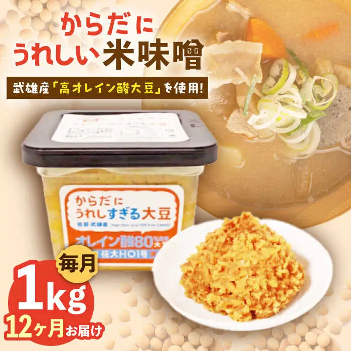 【12回定期便】米味噌 1kg（500g×2個）なるせみそ /角味噌醤油 [UAX012] ミソ