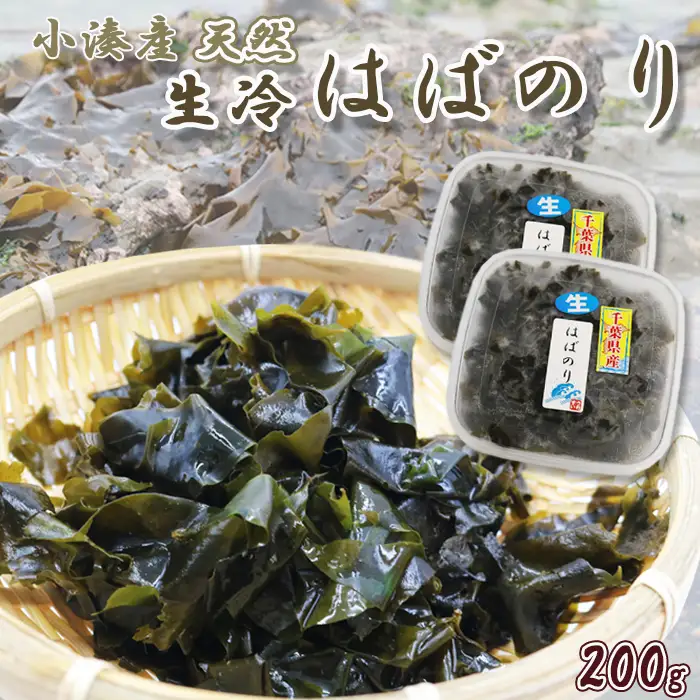 【極味のひもの特製】房州小湊産 天然『生冷 はばのり』200g《数量限定》　[0010-0284]