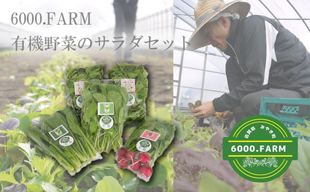 FV023_有機野菜のサラダセット