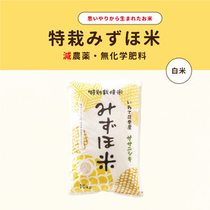 特別栽培みずほ米 ササニシキ 白米 10kg　【1759】