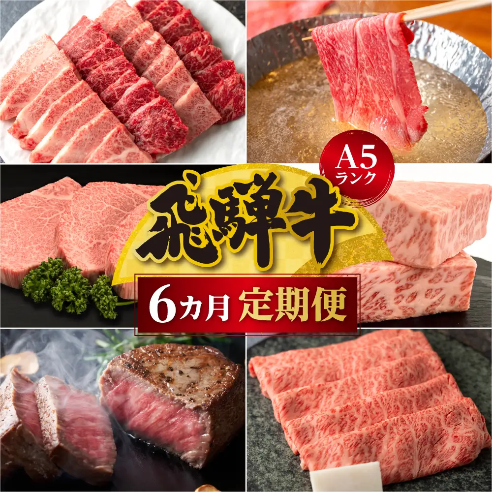 【定期便6ヶ月】 A5ランク肉 飛騨牛 定期便 約2.6kg(360g以上×6ヶ月) 牛肉 ( 焼肉 すき焼き しゃぶしゃぶ ステーキ 肩ロース ヒレ サーロイン もも バラ ) | 定期便 FH101