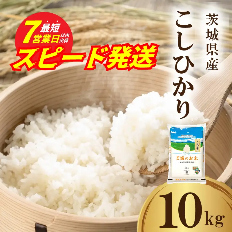 スピード発送!! 【 令和7年産 】 茨城県産 コシヒカリ 10kg ( 5kg × 2袋 )