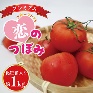 【先行予約】【2026年11月より順次発送】bJA フルーツトマト恋のつぼみプレミアム約1kg(化粧箱)｜トマト フルーツトマト プレミアム 化粧箱 贈り物 ギフト 恋のつぼみ 野菜 茨城県 行方市(AE-7)