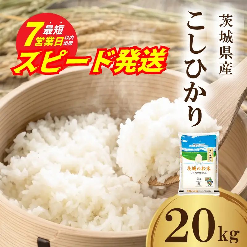 スピード発送!! 【 令和7年産 】 茨城県産 コシヒカリ 20kg ( 5kg × 4袋 )