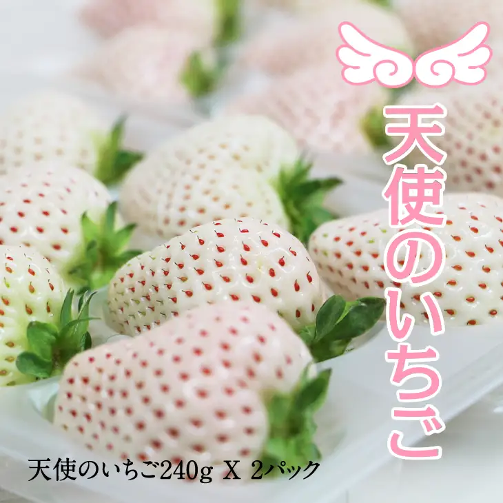 【先行予約】R9年1月中旬頃出荷開始 佐賀県産いちご 天使のいちご 240g X 2パック いちご 果物 B120-065