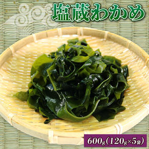 塩蔵わかめ 120g 5袋 わかめ 塩蔵 海鮮 海藻 魚貝類 魚介類 小分け みそ汁 スープ 酢の物 岩手県 大船渡市