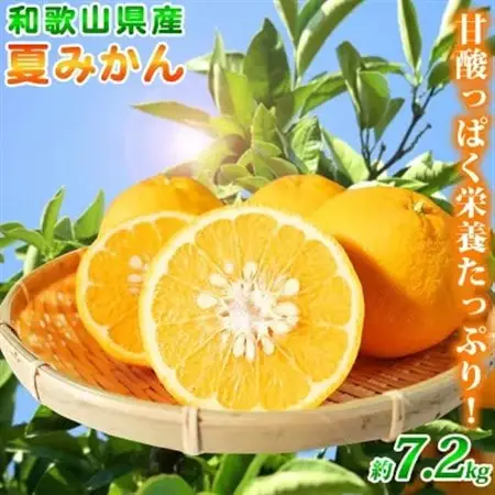 【2027年4月中旬より発送】夏みかん7.2kg【日高町】【1216956】
