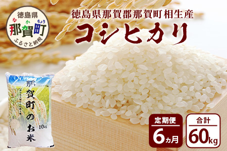 【お米の定期便6回】那賀町のお米 コシヒカリ 10kg×6回 計60kg【徳島県 那賀町 相生 国産 白米 精米 コシヒカリ 10kg 10キロ 60kg 60キロ 産地直送】YS-16