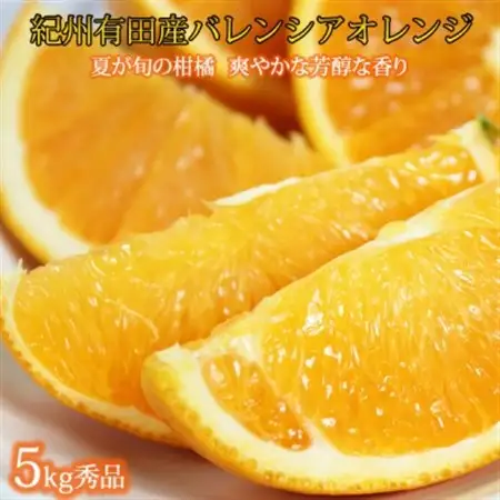 【2027年6月下旬頃発送】秀品　希少な国産バレンシアオレンジ　5kg【日高町】【配送不可地域：離島】【1216979】