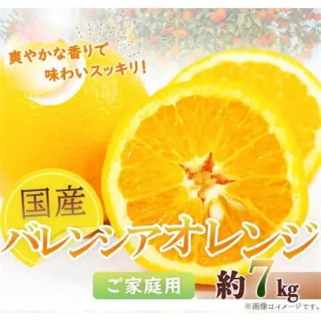 【2027年6月下旬頃発送】【ご家庭用訳あり】希少な国産バレンシアオレンジ　7kg【日高町】【配送不可地域：離島】【1216981】