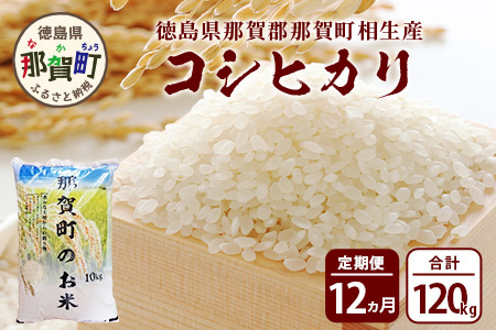 【お米の定期便12回】那賀町のお米 コシヒカリ 10kg×12回 計120kg【徳島県 那賀町 相生 国産 白米 精米 コシヒカリ 10kg 10キロ 120kg 120キロ 産地直送】YS-17
