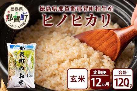 【お米の定期便12回】那賀町のお米 ヒノヒカリ (玄米)10kg×12回 計120kg【徳島県 那賀町 相生 国産 玄米 ヒノヒカリ 10kg 10キロ 120kg 120キロ 産地直送】YS-26