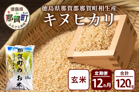 【お米の定期便12回】那賀町のお米 キヌヒカリ (玄米) 10kg×12回 計120kg【徳島県 那賀町 相生 国産 玄米 キヌヒカリ 10kg 10キロ 120kg 120キロ 産地直送】YS-32