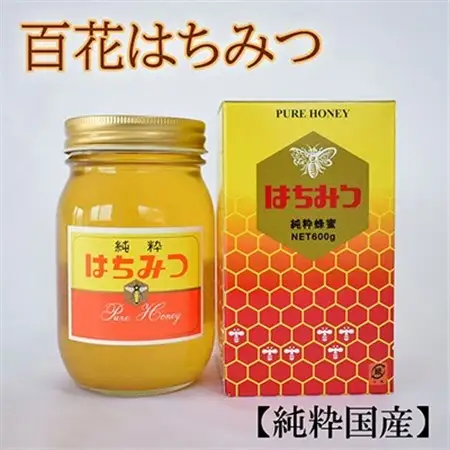 【純粋国産】和歌山県産百花はちみつ約600g(日高町)【1217822】