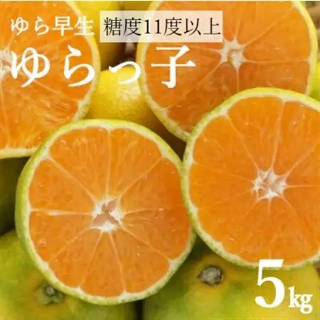 糖度11度以上!ゆら早生みかん「ゆらっ子」5kg(サイズ2S～M)【2026年10月中旬～順次発送】【1218292】