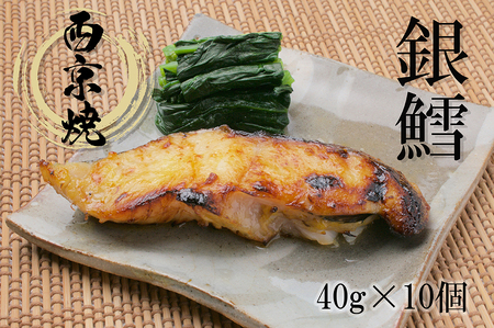 FX020_銀だら西京漬（真空パック40g×5ケ）×2個