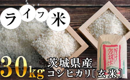 コシヒカリ・玄米 30kg　令和5年産【ライフ米】 No.464
