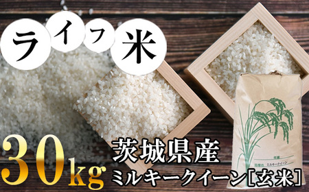 ミルキークイーン・玄米 30kg　令和5年産【ライフ米】 No.465
