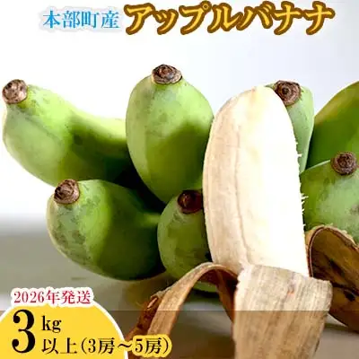 バナナ【2026年発送】本部町産アップルバナナ　3kg以上  フルーツ 