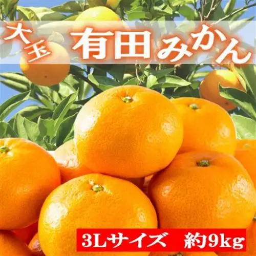 【食べごたえ十分】和歌山有田みかん大玉約9kg(3Lサイズ・秀品)【日高町】【1231044】