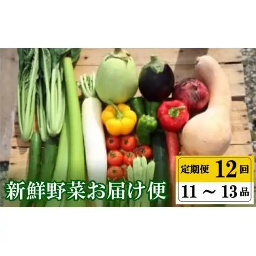 【早期予約】 野菜定期便12ヶ月