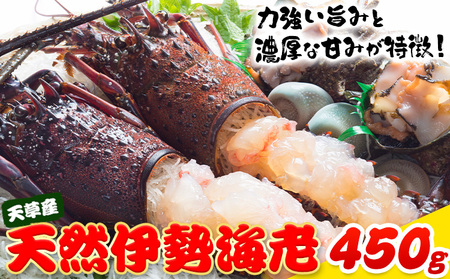 天然伊勢海老 半身カット×２個 伊勢海老
