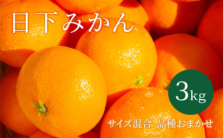 【2026年10月以降順次発送】日下みかん サイズ混合 2S～2L 3kg 秀品 果物類 柑橘類 フルーツ 農薬 有機肥料 光センサー 高品質 おいしい 