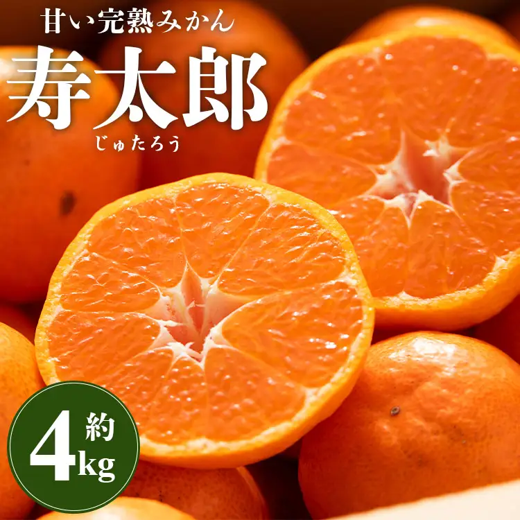 【1月中旬〜2月発送】寿太郎みかん 4kg みかん 果物 ms-0086