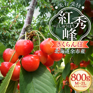 【2027年産 先行予約】＜北海道余市産＞さくらんぼ「紅秀峰」（M～2Lサイズバラ詰め）400g×2パック_Y103-0068