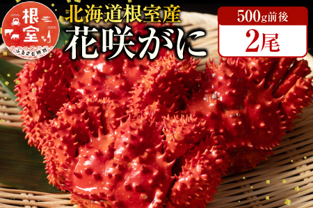 【北海道根室産】花咲かに500g前後×2尾 A-19010