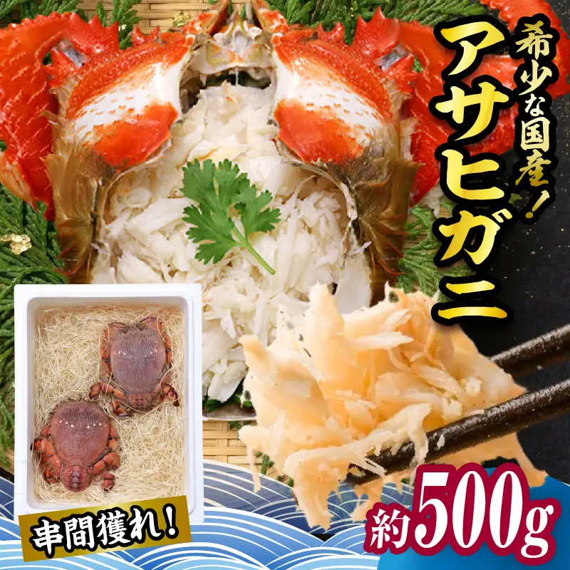 【先行予約】＜2026年11月より順次発送予定＞宮崎県串間市産 アサヒガニ500g 国産 海鮮 カニ_K027-014-01