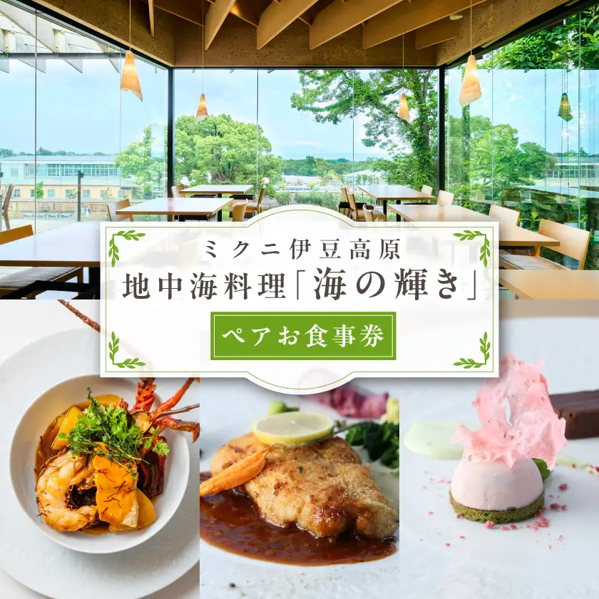 【ミクニ伊豆高原】地中海料理「海の輝き」ペアお食事券_旅行券・チケット 食事券  _【1141848】