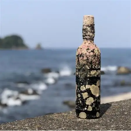 赤ワイン潜酔酒(カベルネソービニオン)_酒・アルコール 赤ワイン ワイン _【1380225】