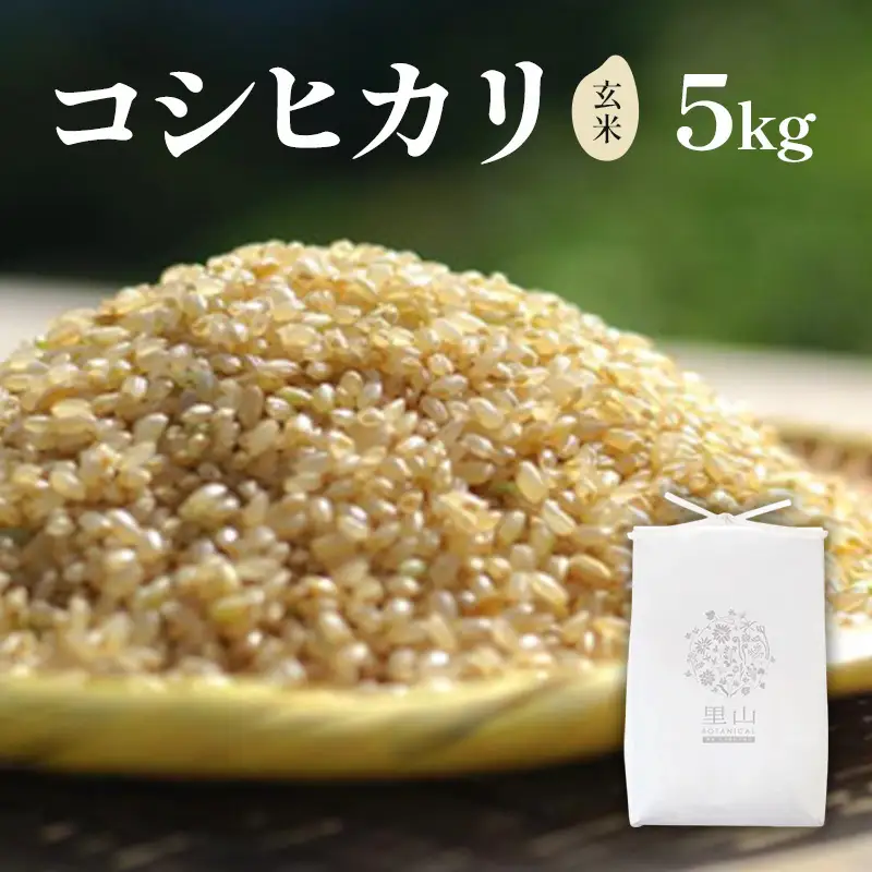 雪国棚田米 コシヒカリ 玄米5kg 農薬不使用 コシヒカリ
