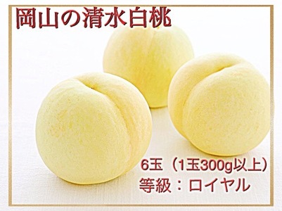 Iz-1　【令和8年発送・先行予約】岡山県産　清水白桃（1玉300g以上）6玉　等級：ロイヤル　化粧箱入り
