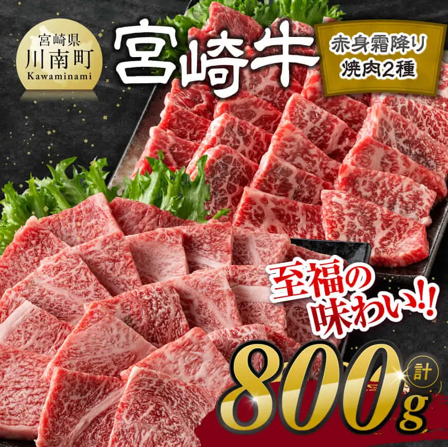 【令和8年10月発送】宮崎牛赤身霜降り焼肉2種 800g【肉 牛肉 国産 宮崎県産 宮崎牛 黒毛和牛 和牛 焼肉 BBQ 4等級  A4ランク 肩ロース ウデ モモ E11124】
