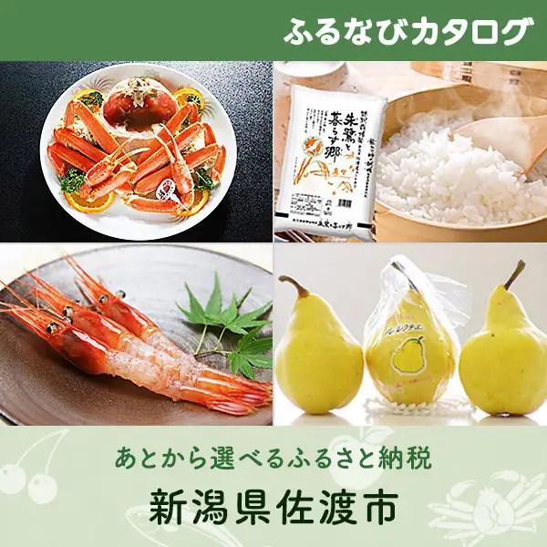 【有効期限なし！後からゆっくり特産品を選べる】新潟県佐渡市カタログポイント