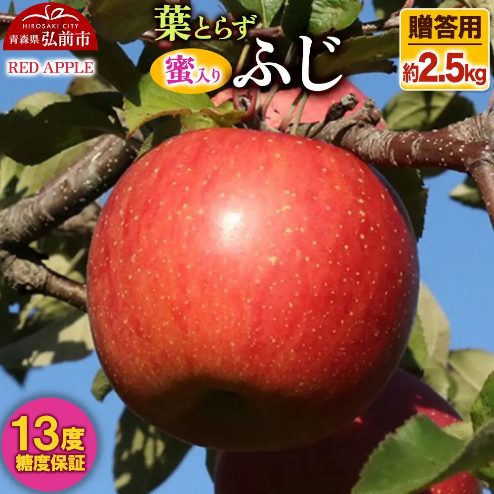 りんご 葉とらずふじ 約2.5kg【贈答用】りんご