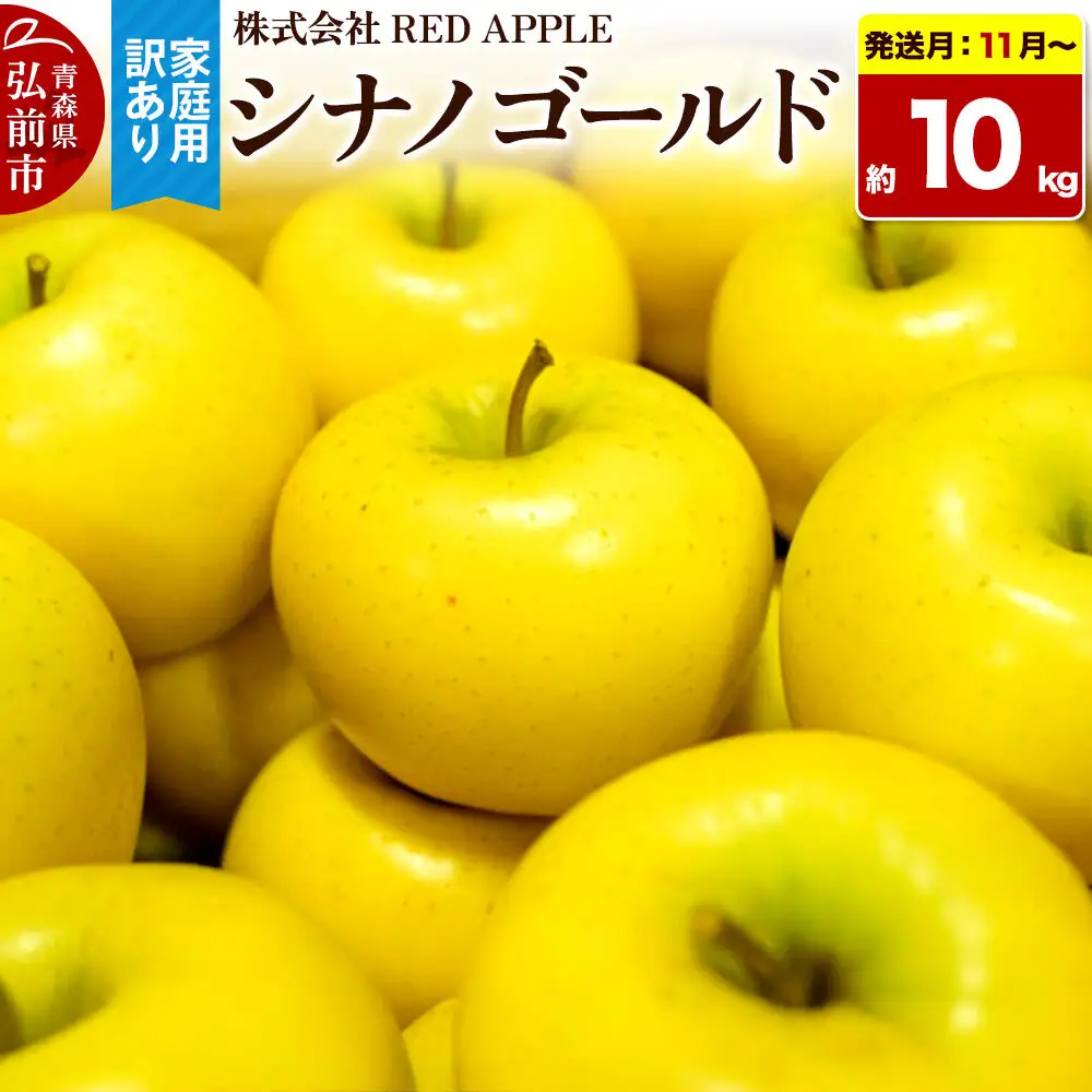 【26年11月～発送】りんご【訳あり】家庭用 シナノゴールド 約10kg 先行受付