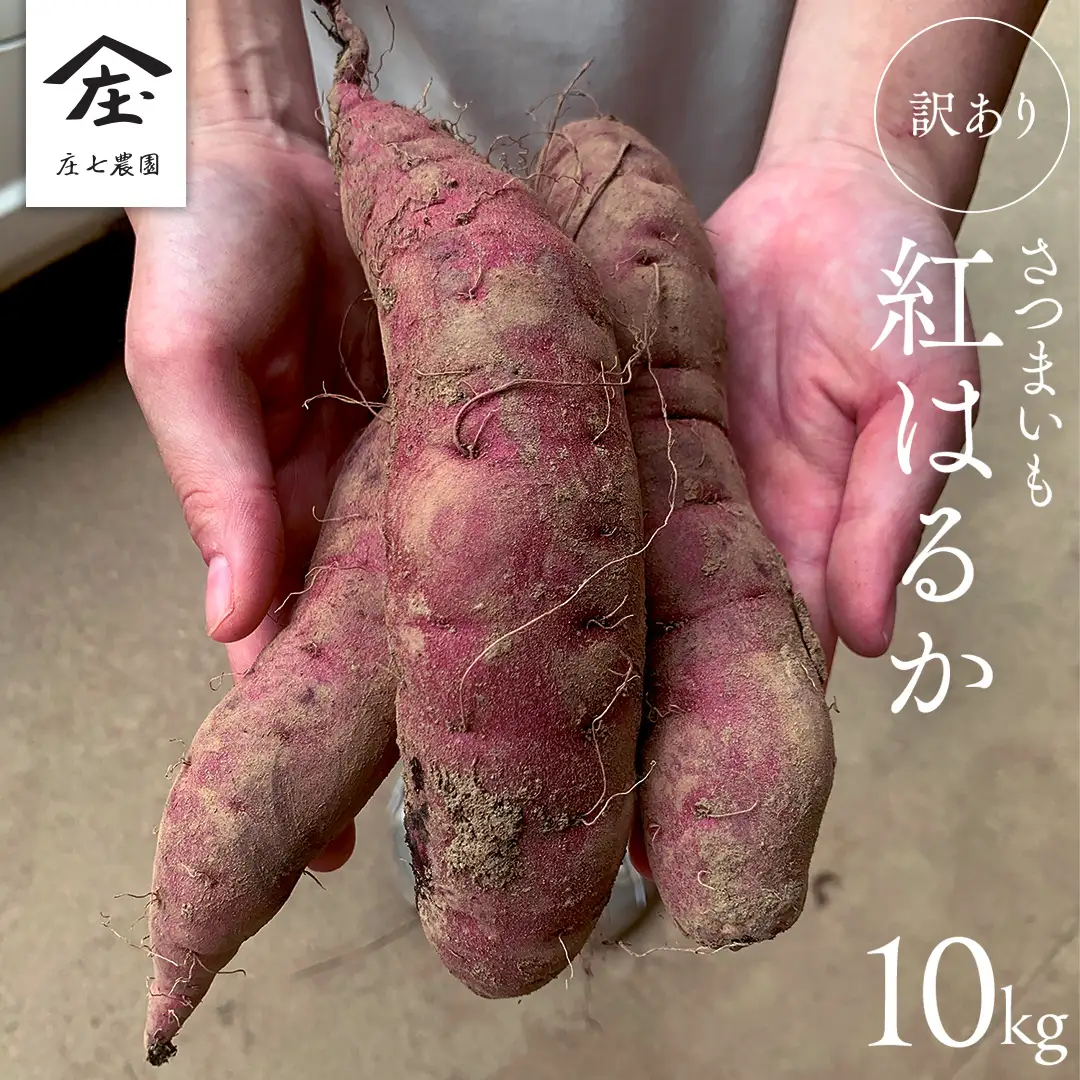 【 訳あり 】 さつまいも ！ 紅はるか 10kg サツマイモ 芋 いも べにはるか