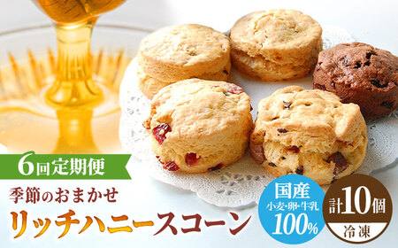 【6回定期便】リッチハニースコーン アソート 10個 多治見市/famfam 焼き菓子  詰め合わせ [TAK012]