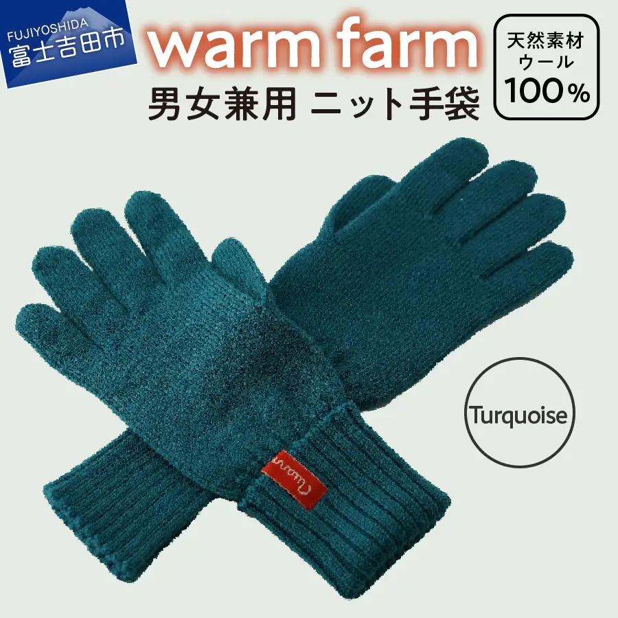 手袋 光吸収発熱ウール 「 ウォームファーム　ニット手袋 」 ターコイズ 暖かい ウール 発熱素材 レディース メンズ 秋 冬
